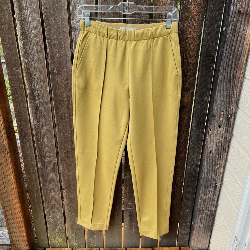 Everlane The Dream Pant NWOT in Fennel Seed Sz Small